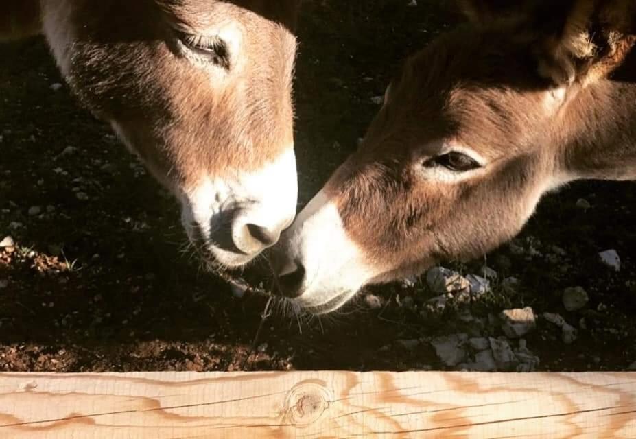 Roulottes Et Cabanes De Saint Cerice Vogue Kültér fotó