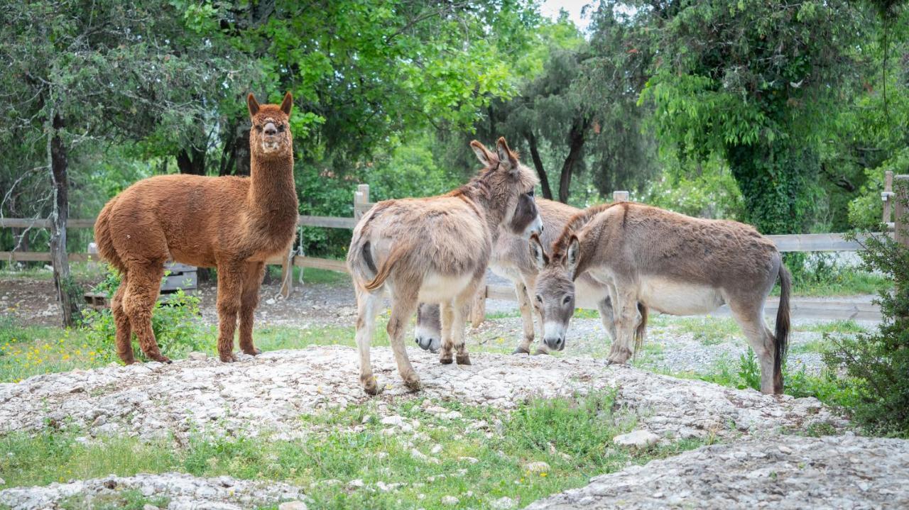Roulottes Et Cabanes De Saint Cerice Vogue Kültér fotó